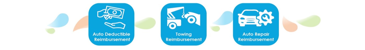 revive-auto-membership-icons